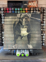 PulseArt - Custom Laser Paintings