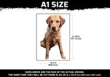 Timothy's Golden Retriever Multi Layer Stencil