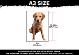 Timothy's Golden Retriever Multi Layer Stencil