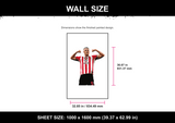 Daniel Ballard Wall Size