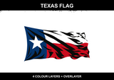 Texas Flag 2