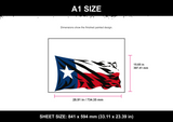 Texas Flag A1