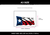 Texas Flag A3