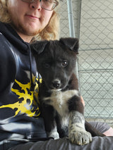 Valisa reference image 1