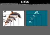Dolphin Multi Layer Stencil