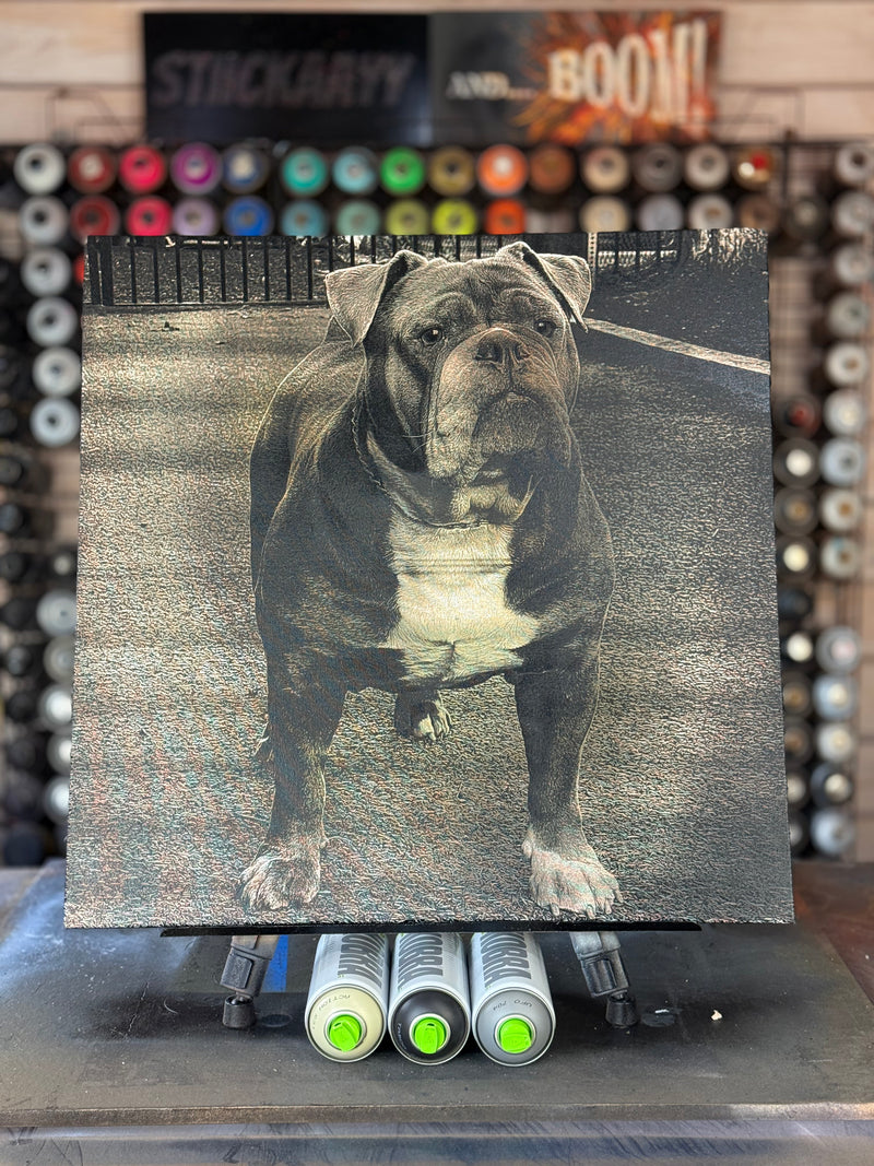 PulseArt - Custom Laser Paintings