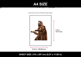 Destiny Cayde-6 Firing A4