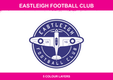 Eastleigh Football Club colour artwork