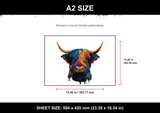 Highland Cow A2